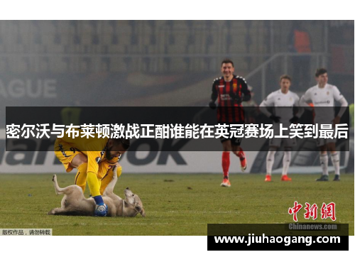 密尔沃与布莱顿激战正酣谁能在英冠赛场上笑到最后