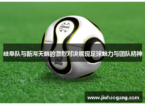 岐阜队与新泻天鹅的激烈对决展现足球魅力与团队精神